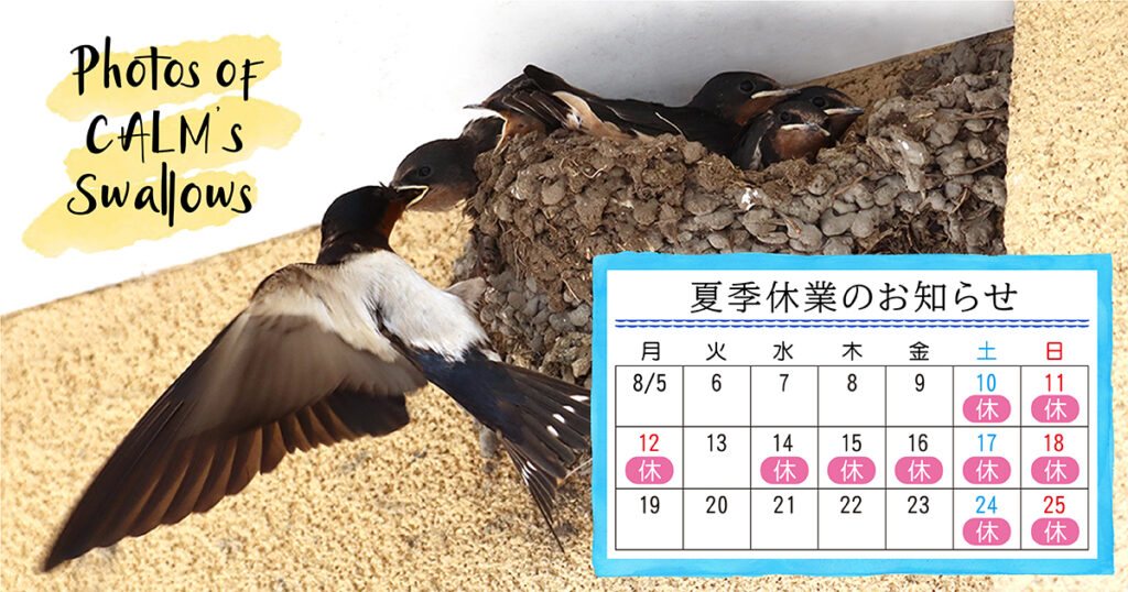 夏季休業のお知らせの写真