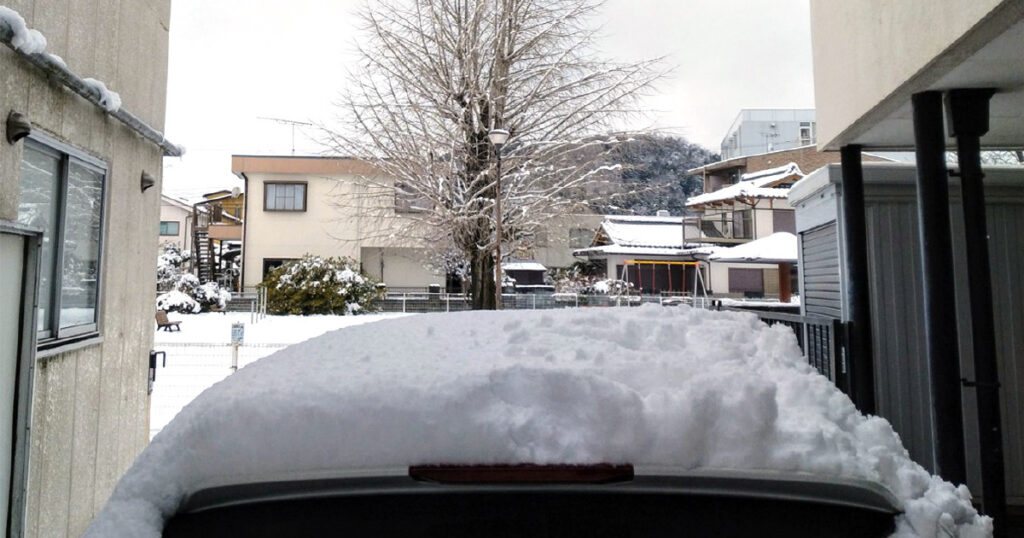 今年最初の雪景色ですの写真